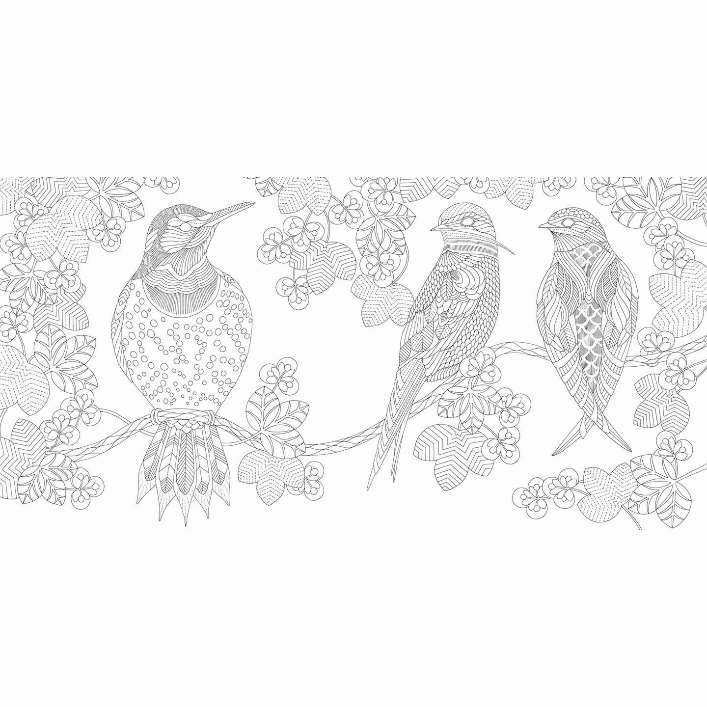Millie Marotta Beautiful Birds And Treetops Coloring Book Moments of imagination