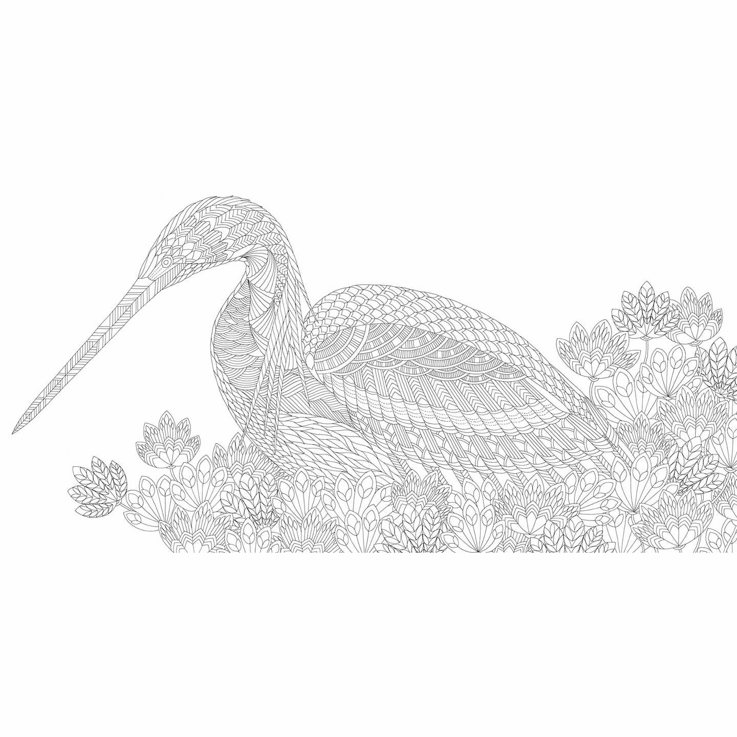 Millie Marotta Beautiful Birds And Treetops Coloring Book First explorers