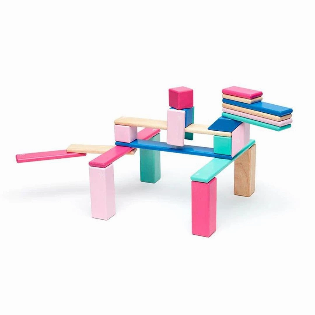 Playroom learning Magnetic Wooden Blocks - 24 Piece Set Blossom