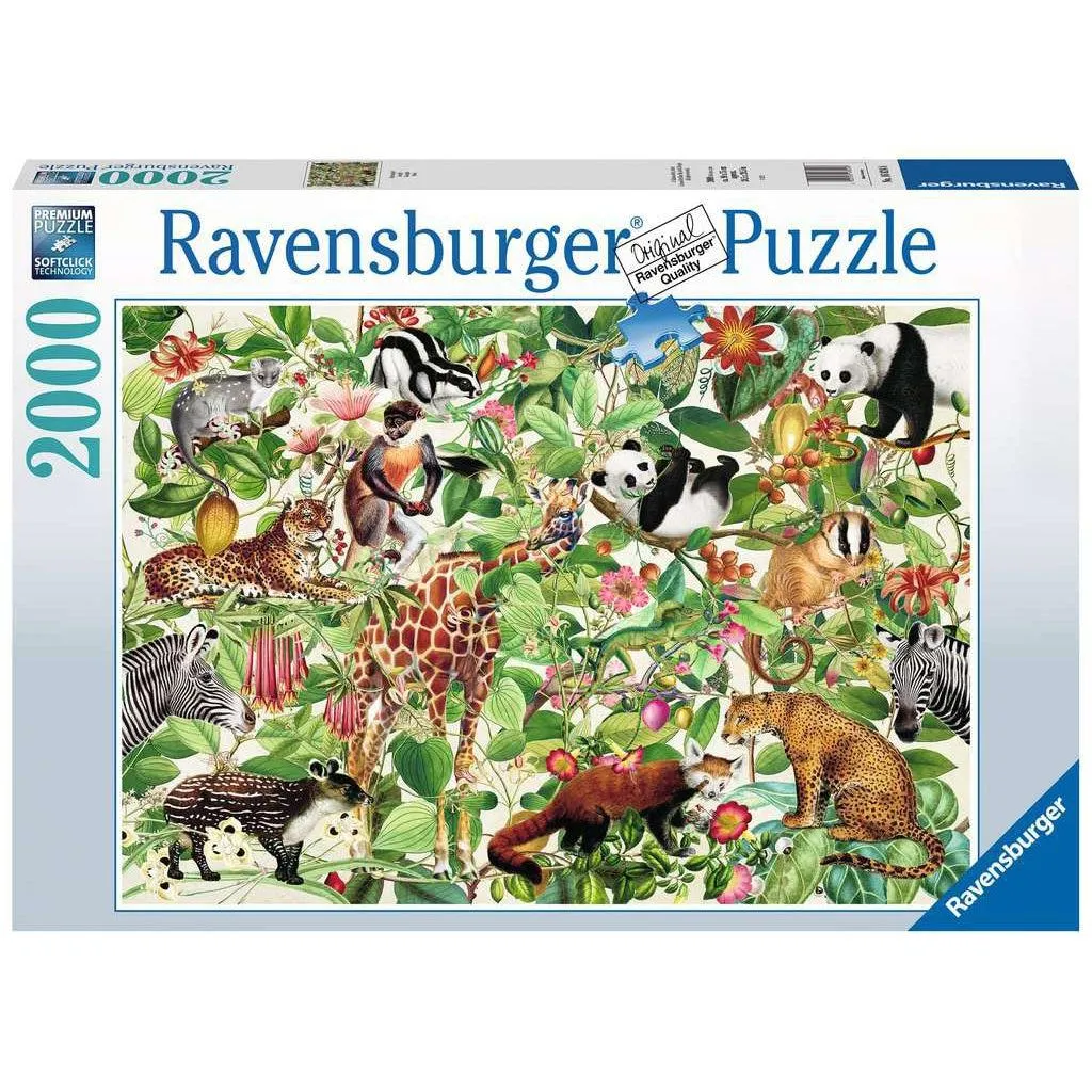 Growth tools Jungle 2000Pc