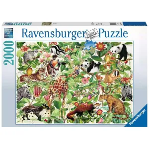 Growth tools Jungle 2000Pc