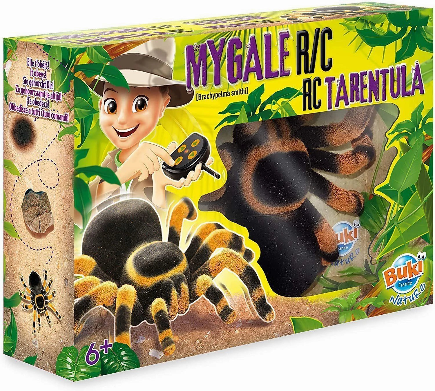 Buki France Nature Tarantula Remote Controlled Preschool minds Tiny thinkers