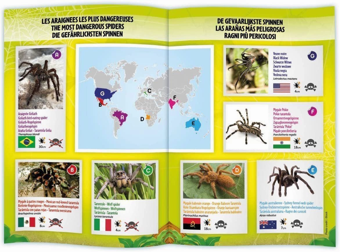 Buki France Nature Tarantula Remote Controlled Enrichment activities