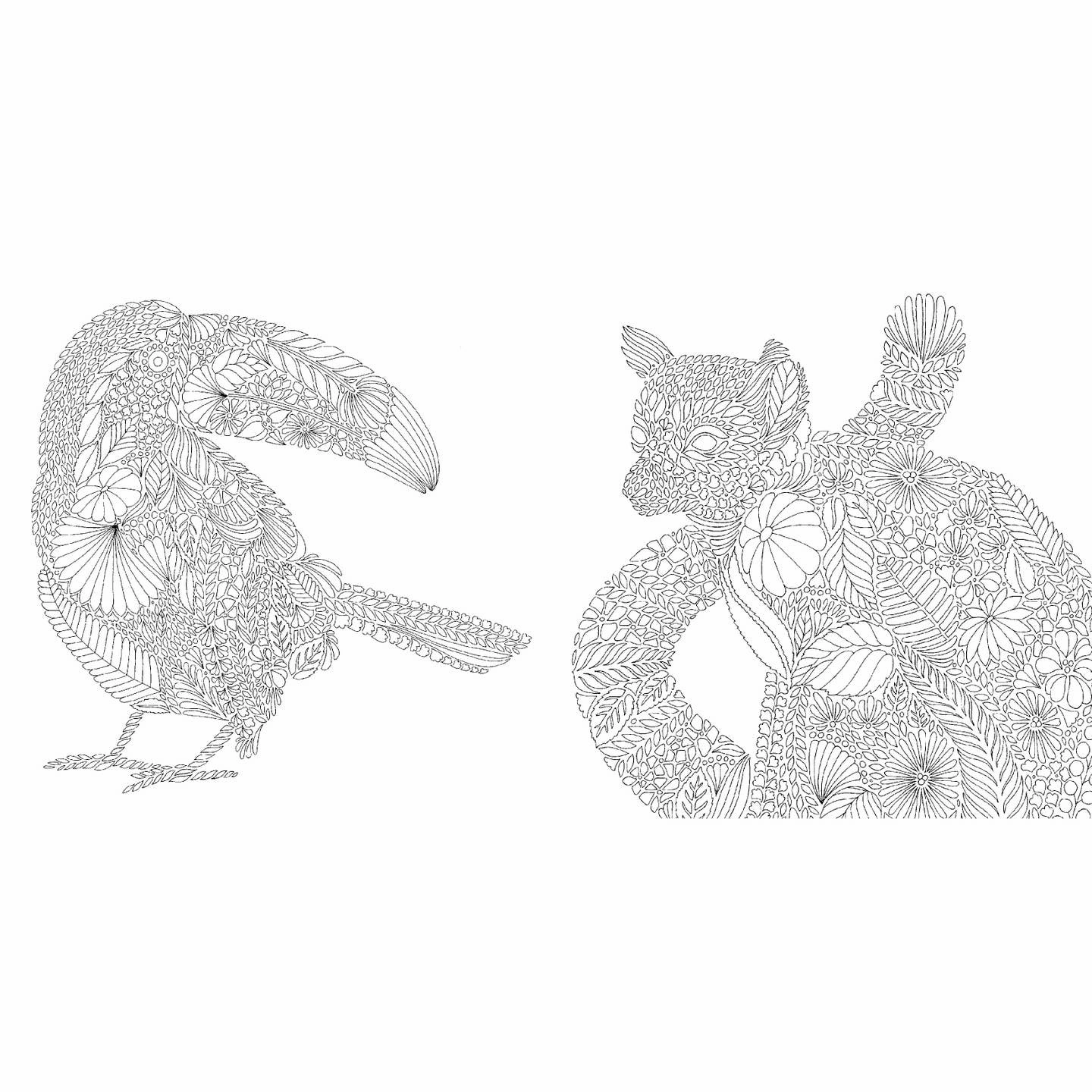 Millie Marotta'S Tropical World: Mini Coloring Book Play-based education