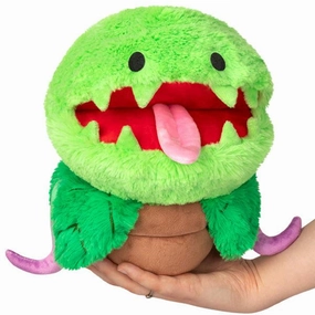 Mini Venus Fly Trap Engaging young minds
