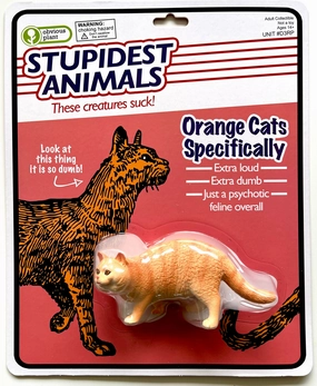Inspiring creativity Stupidest Animals - Orange Cats Specifically
