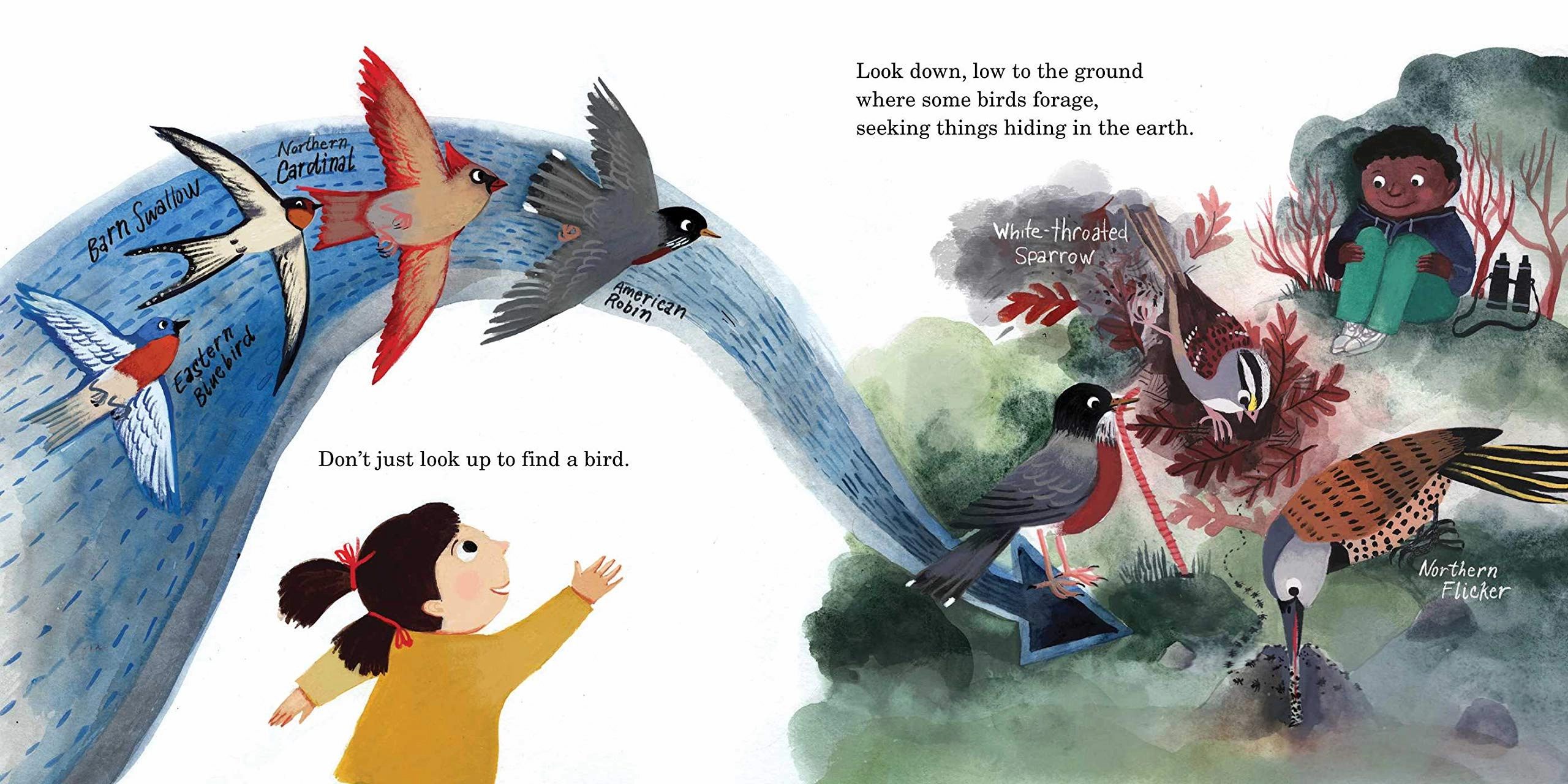 How To Find A Bird Play & learn