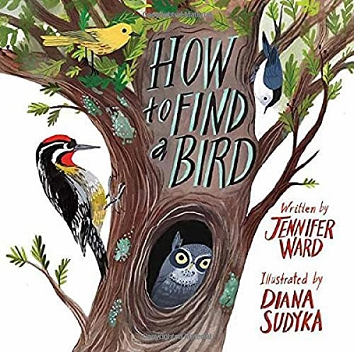 How To Find A Bird Hands-on discovery