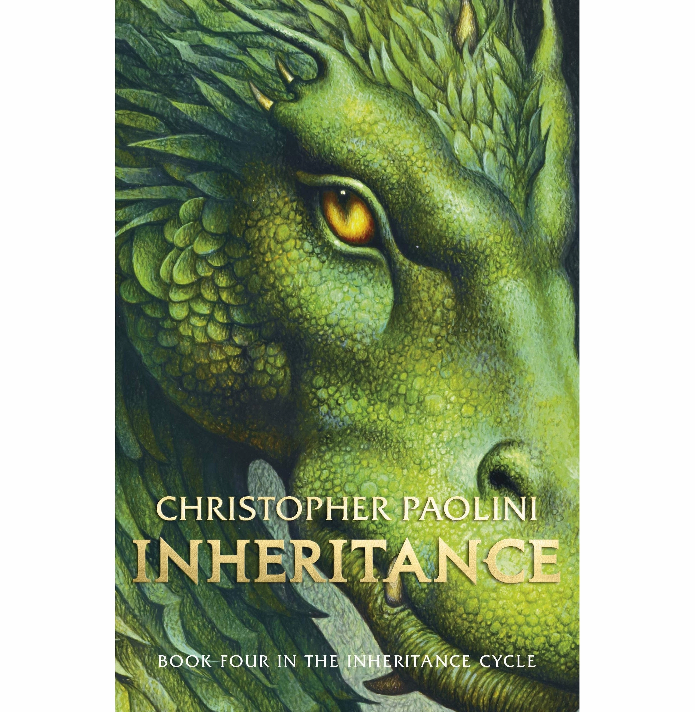 Playroom adventures begin here Mindful play Inheritance [Paperback] Paolini Christopher