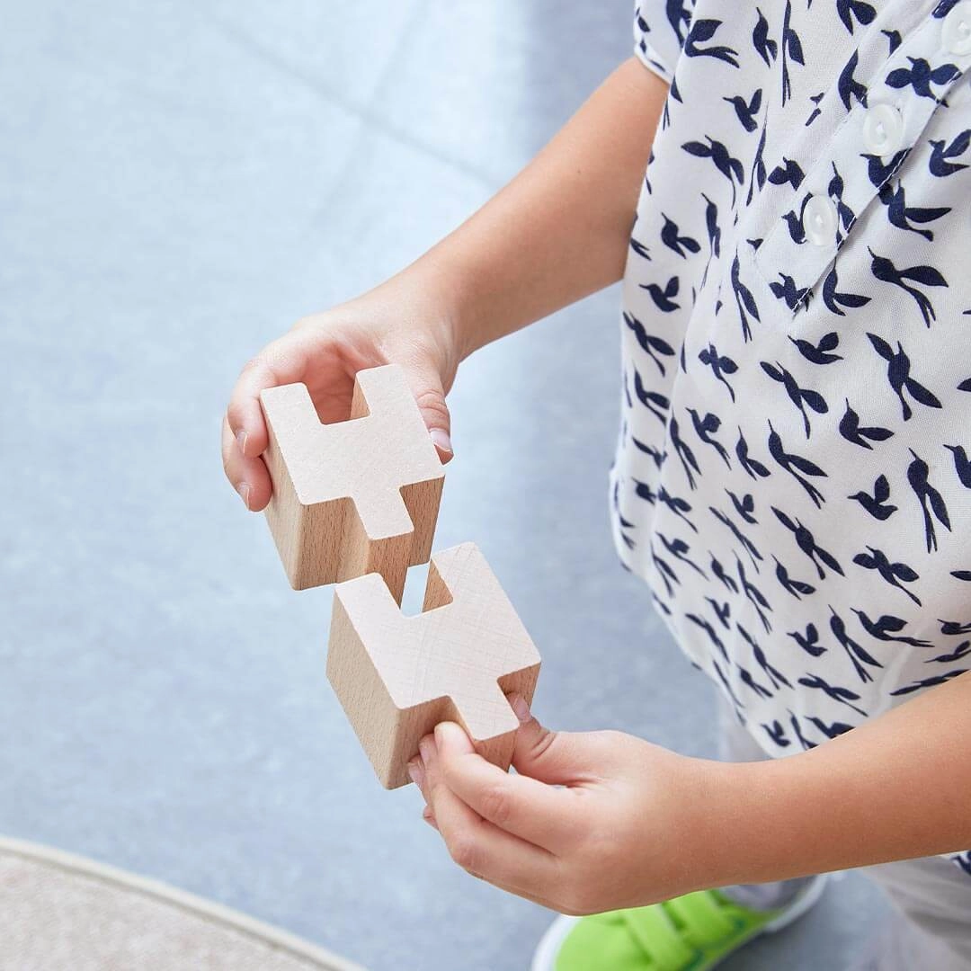Curiosity starters Interlocking Wooden Blocks Construction Set