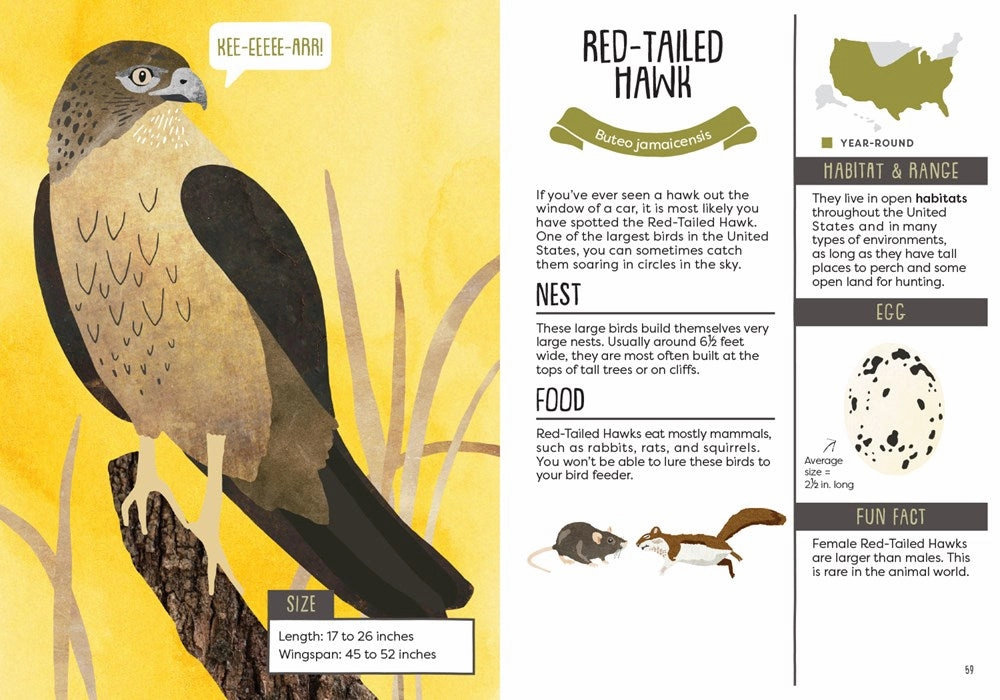 Early discovery Creative time for curious minds Kid'S Guide To Backyard Birds