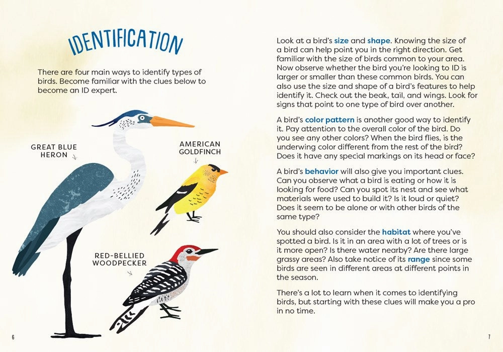 Kid'S Guide To Backyard Birds Growth tools