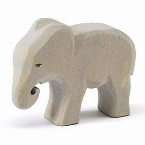 Ostheimer Elephant, Small, Eating Exploration made fun Young explorers