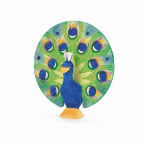 Tiny thinkers Little learners Ostheimer Peacock, Open