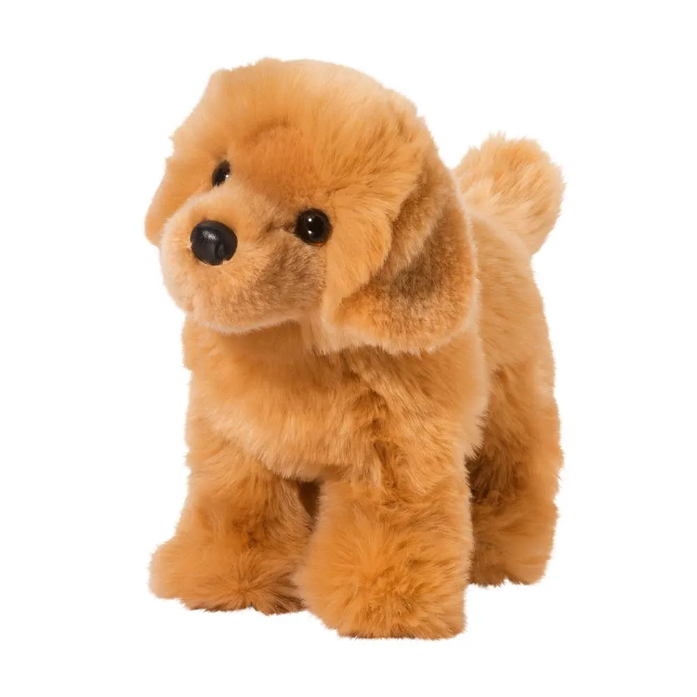 Curious minds Chap The Golden Retriever