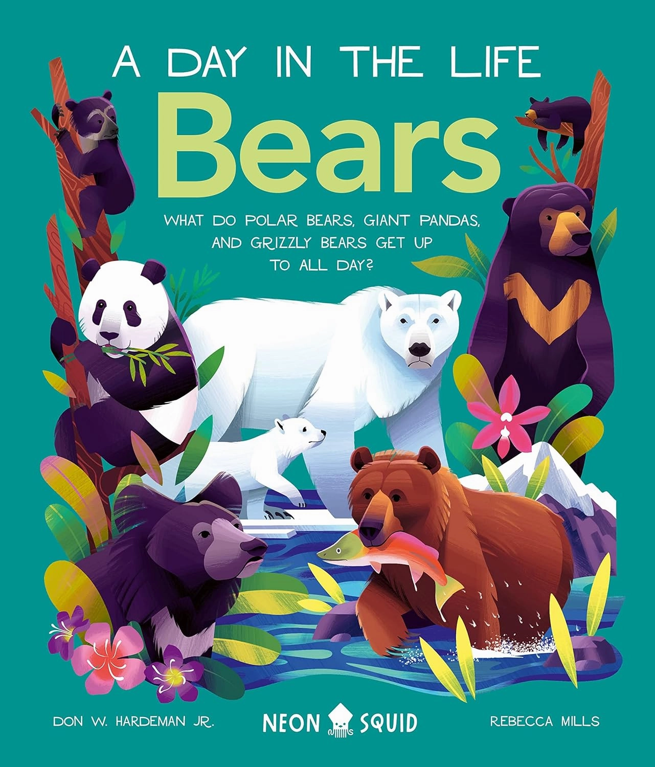 Bears: A Day In The Life Discover & grow Little adventures