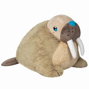 Walrus Learn at home Early learning