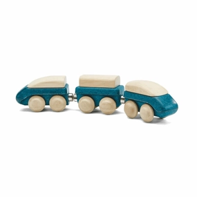 Everyday learning Wooden Hybrid Train