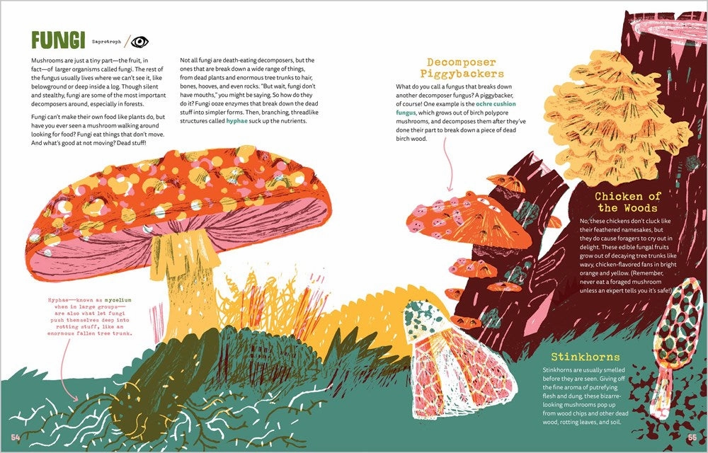 World Of Rot Educational fun Enrichment activities