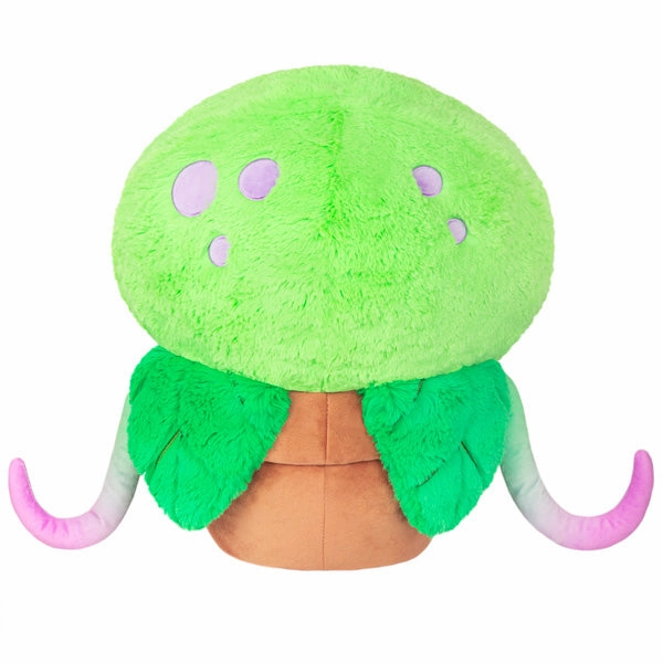 Fun-based learning Growing minds Squishable Venus Flytrap 24"
