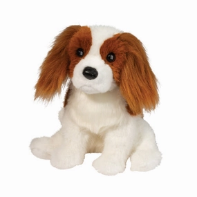 Happy hands Little adventures Kingsley King Charles Cavalier