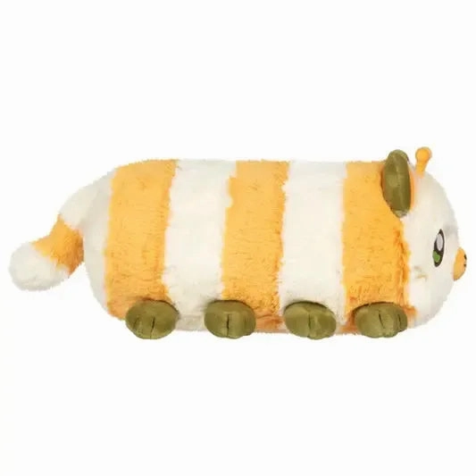 First explorers Curiosity starters Kittypillar