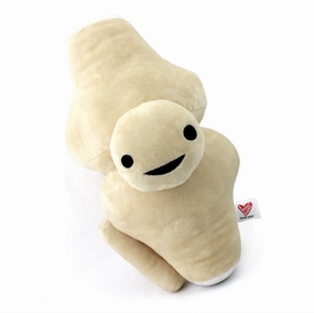 Knee Joint Plush Smart little ones Curiosity starters