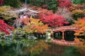 Skill-building tools Early discovery Beautiful Gardens - Daigo-Ji, Kyoto, Japan  1000Pc