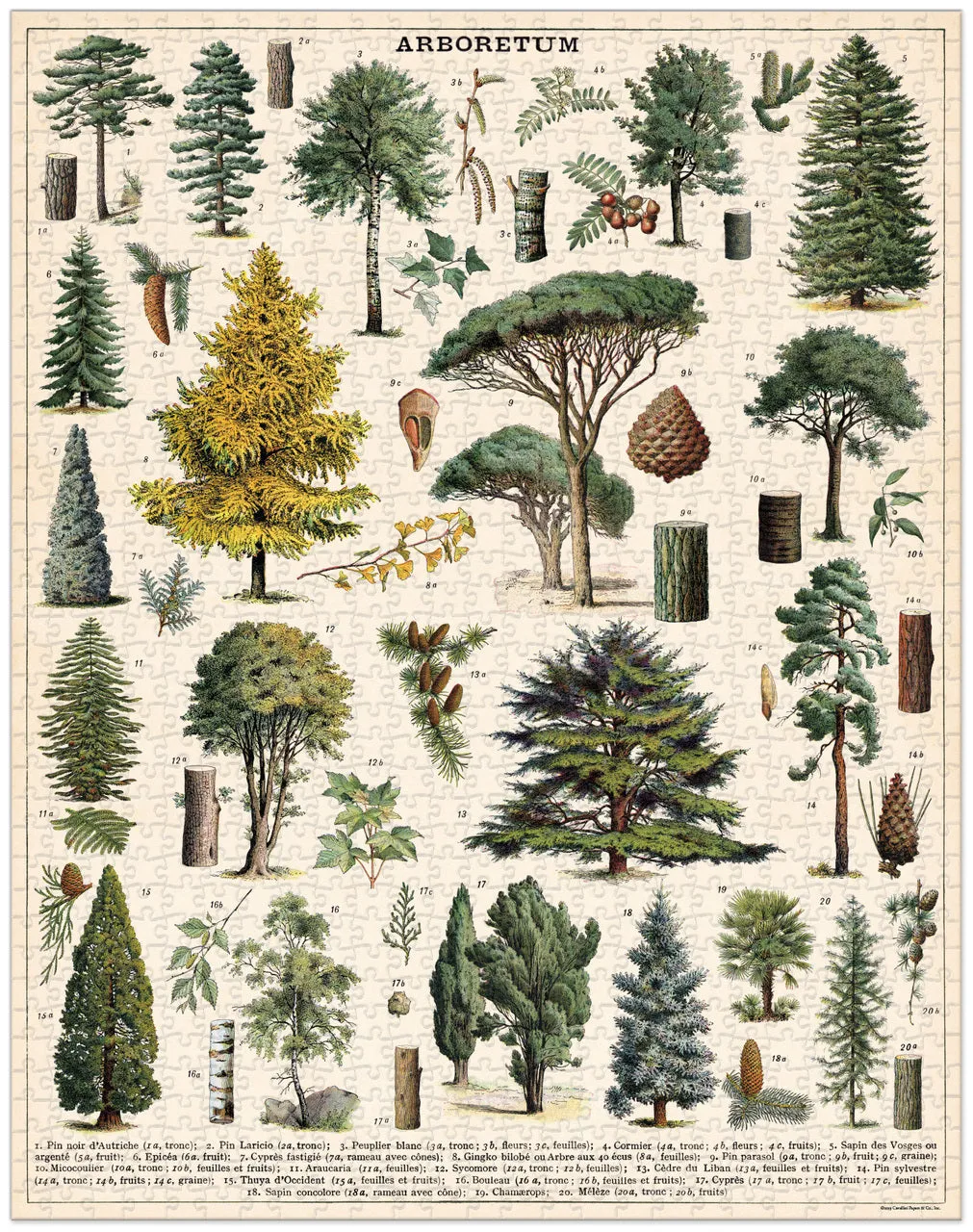 Creative time for curious minds Mini makers Cavallini & Co. Arboretum 1000 Piece Puzzle