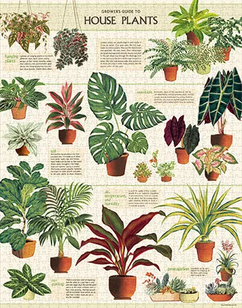 Cavallini & Co. House Plants 1000 Piece Puzzle Everyday learning Young explorers