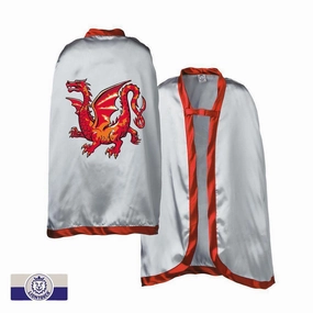 Amber Dragon Knight Cape Curiosity starters