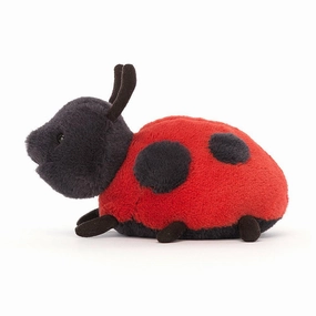 Everyday learning Exploration gear Layla Ladybird 6&Quot;