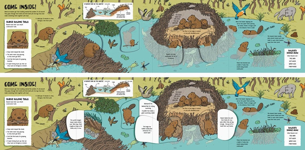 Nurturing minds Smart little ones Lonely Planet Kids: How Animals Build