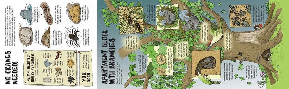 Play-based education Creative minds Lonely Planet Kids: How Animals Build