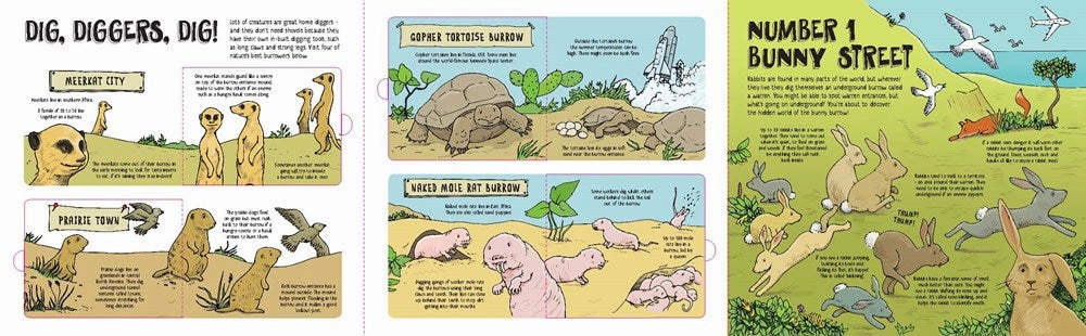 Hands-on discovery Lonely Planet Kids: How Animals Build