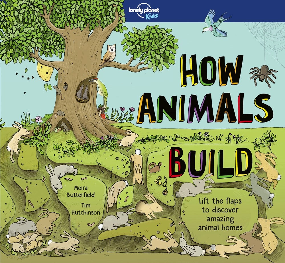 Sensory fun for little hands Lonely Planet Kids: How Animals Build