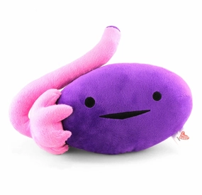 Home learning tools Ovary Plush