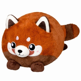 Baby Red Panda Little learners Enrichment activities