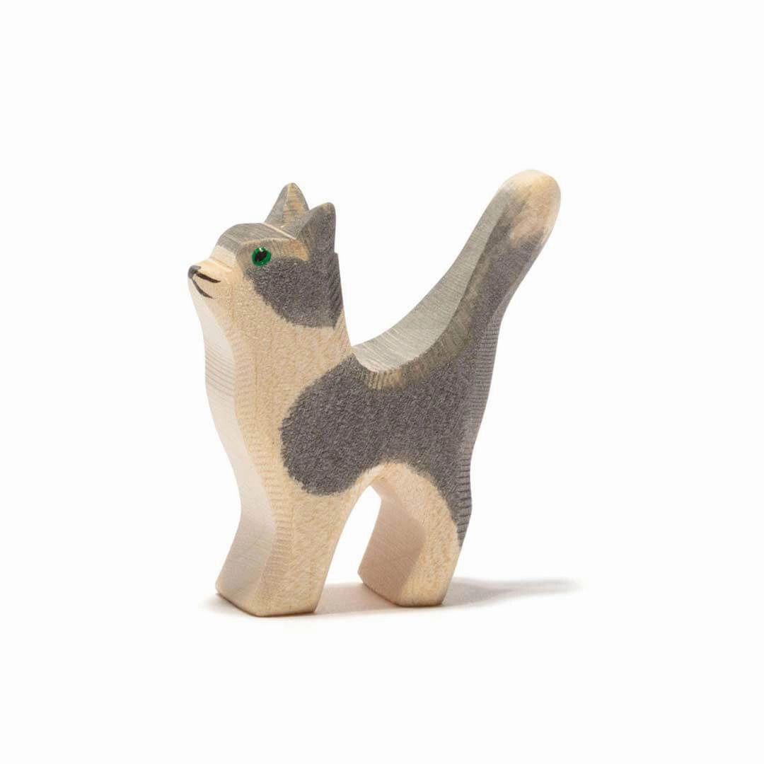 Thoughtful learning Curiosity starters Ostheimer Cat, Gray And White, Head Up