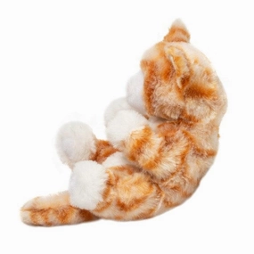 Orange Stripe Kitten Fun-based learning Holistic
