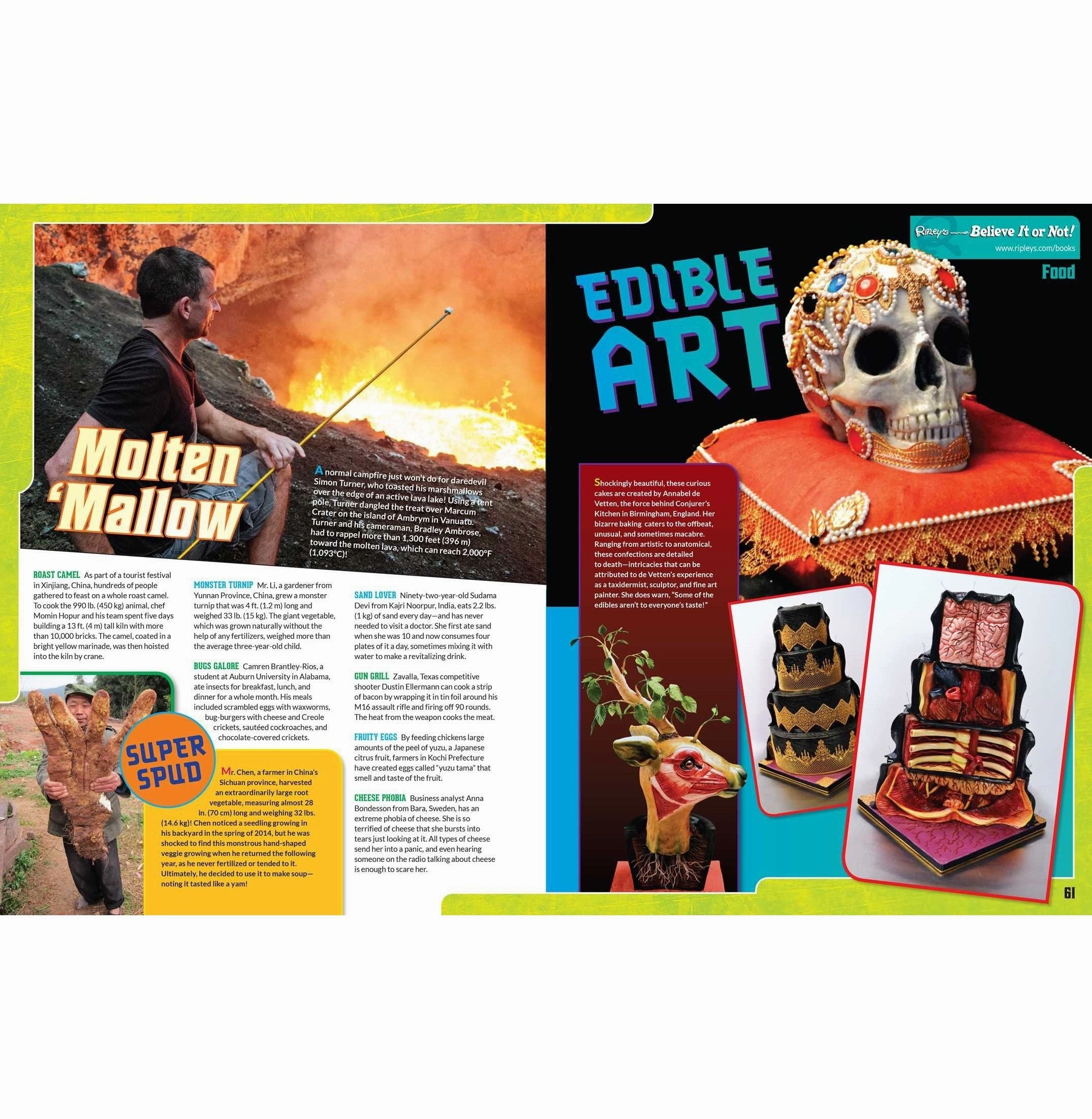 Ripley'S Believe It Or Not! Unlock The Weird! (Volume 13) (Annual) [Hardcover] Believe It Or Not! Ripley'S Sensory fun for little hands Child development