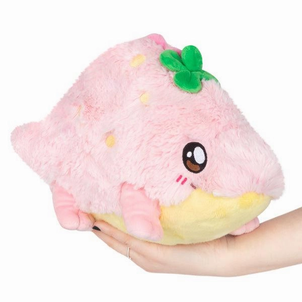 Little learners Exploration made fun Strawberry Crocodile