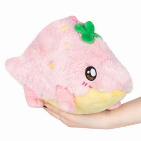 Little learners Exploration made fun Strawberry Crocodile
