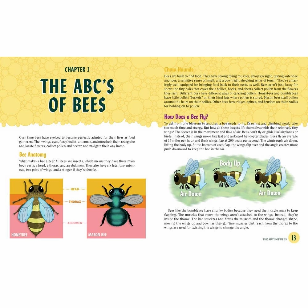 Playful learning Turn This Book Into A Beehive!