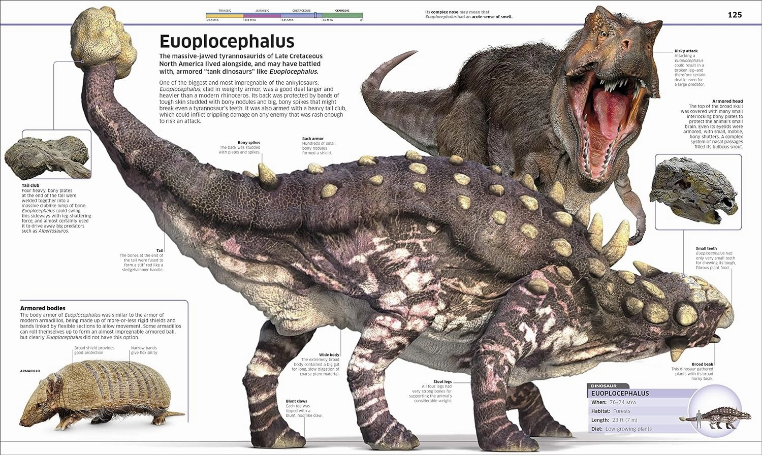 Dinosaur! Holistic First explorers