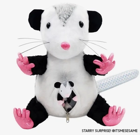Curiosity starters Opossum With Babies