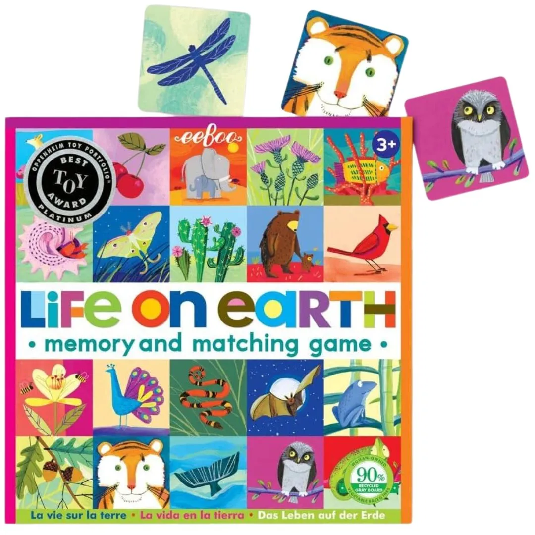 Life On Earth Memory Game Playroom learning Kids discovery tools