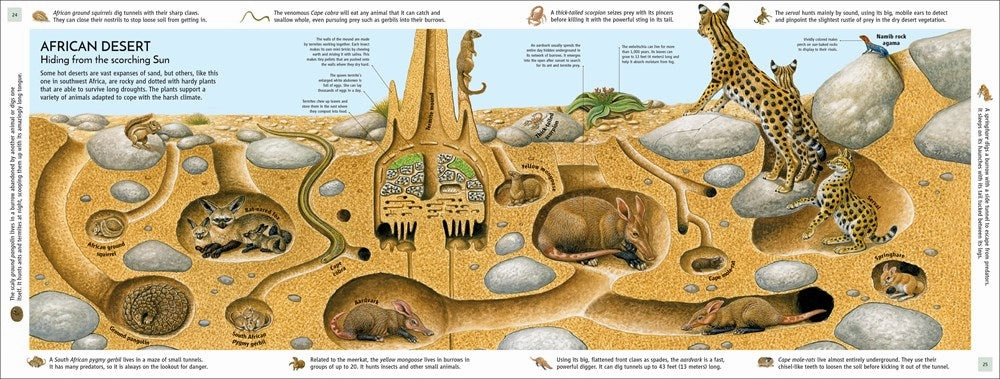 Early discovery Life Underground: Tunnel Into A World Of Wildlife