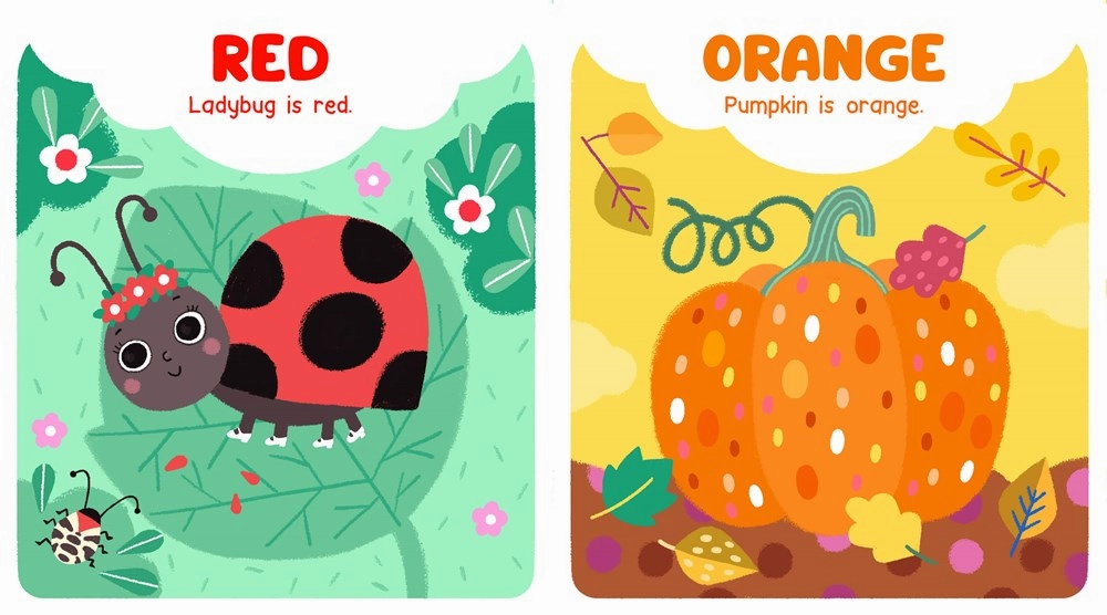 Early discovery Colors Board Book