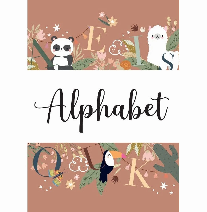 Joyful learning Firsi Moments N. 4 : My First Cards. Alphabet Parragon Publishing India